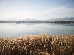 -青龙湖公园