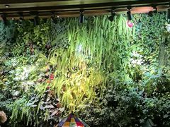 -泽云梵莲花足浴 按摩 SPA(滨湖店)