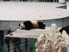 -大连森林动物园