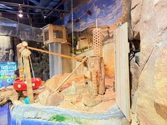 -正佳雨林生态植物园