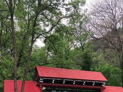 -原山国家森林公园