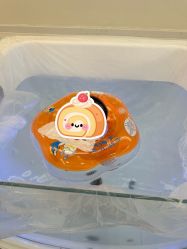 -安丽国际月子会所