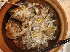 -人间采蜜(海信广场店)