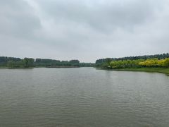 -东郊湿地公园