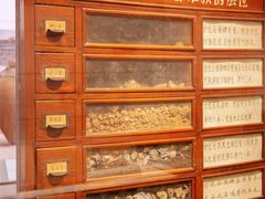 -北京大学赛克勒考古与艺术博物馆
