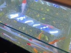 -华夏良子·足道SPA艾灸(王府井店)