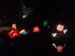 -成飞公园