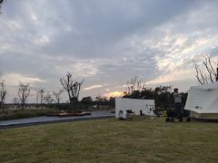 -春花秋色城市公园