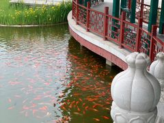 -西海子公园