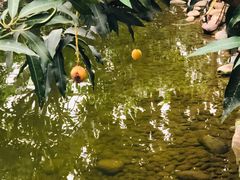 -南通洲际绿博园