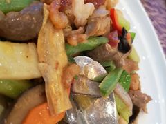 -欢乐海岸美食联盟