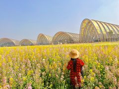 -中国天府农业博览园