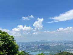 -梧桐山风景名胜区