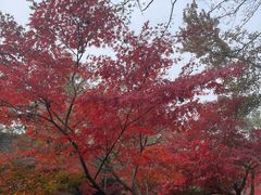 -虞山风景区