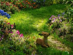 -上海共青森林公园