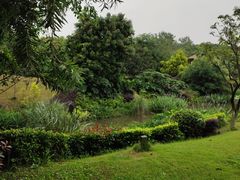 -张坝桂圆林公园