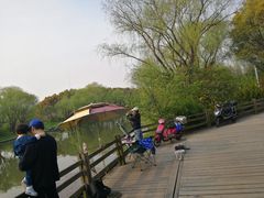 -新江湾城公园