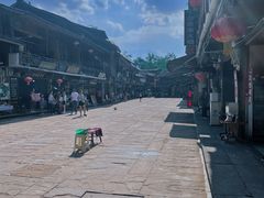 -雅安上里古镇