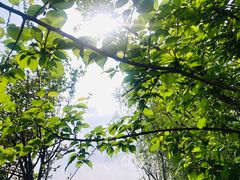 -白鹭湾湿地公园