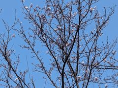 -福州大学(旗山校区)