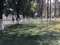 -西北湖绿化广场