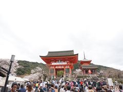 景点-有栖山 清光院 清水寺