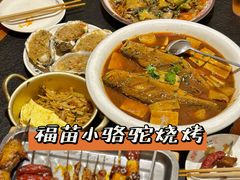 -福苗小骆驼烧烤(大唐不夜城店)