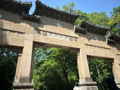 -灵谷景区