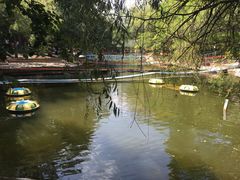 游乐设施-沈阳植物园