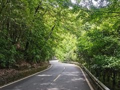 -凤栖山