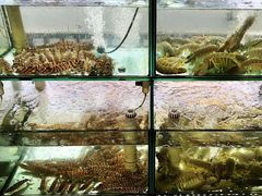 水产区-凯华海鲜火锅·传承三十六年