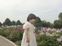 -石家庄市植物园