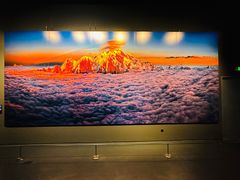 -罗红摄影艺术馆