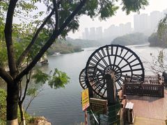 -重庆彩云湖湿地公园