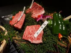 松阪牛焼肉M(法善寺横丁店)-松阪牛焼肉M(法善寺横丁店)