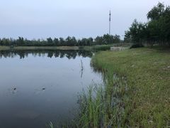 -永定河休闲森林公园