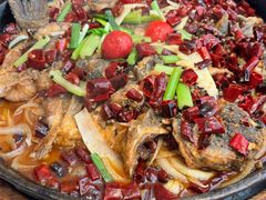 -老板恋上鱼(恒隆广场店)