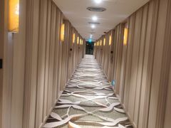 -樟宜机场皇冠假日酒店 （SG Clean） - IHG 旗下酒店