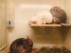 -龙猫仔乐园(惠福东路店)