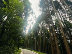 -太阳湾风景区