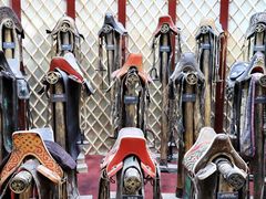 -呼伦贝尔民族博物馆