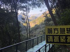 -龙湾潭国家森林公园