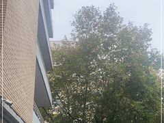 -浙江省中医院(湖滨院区)