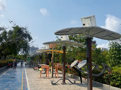 -金鸡岭桥头公园