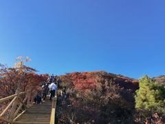 -水峪民俗村