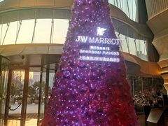 -JW酒廊 JW Lounge(上海鲁能JW万豪侯爵酒店)