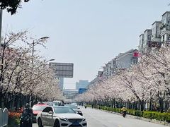 -永乐路-路侧停车场