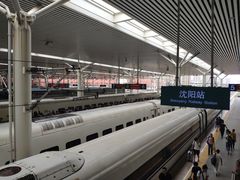 -沈阳站