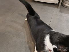 -原田新料理(1912店)