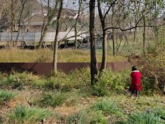 -西湖风景区-江洋畈生态公园
